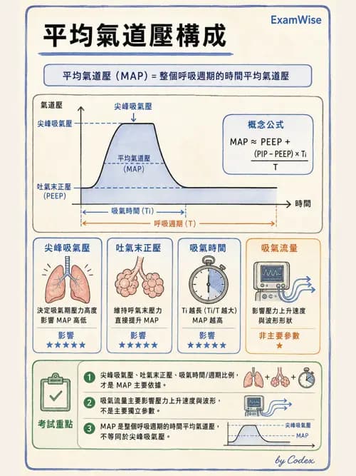 呼吸治療師 - 小兒呼吸器支持 - AI 圖文解析預覽