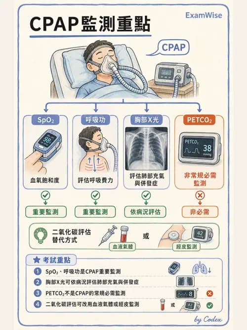 呼吸治療師 - 小兒呼吸器支持 - AI 圖文解析預覽