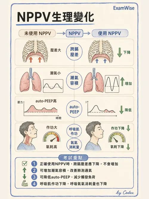 呼吸治療師 - 非侵襲性與居家通氣 - AI 圖文解析預覽