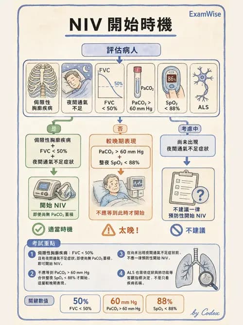 呼吸治療師 - 非侵襲性與居家通氣 - AI 圖文解析預覽