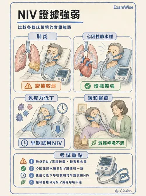 呼吸治療師 - 非侵襲性與居家通氣 - AI 圖文解析預覽