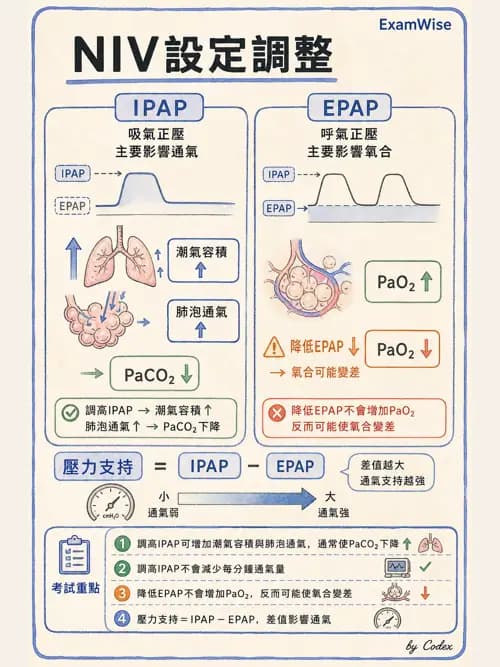 呼吸治療師 - 非侵襲性與居家通氣 - AI 圖文解析預覽