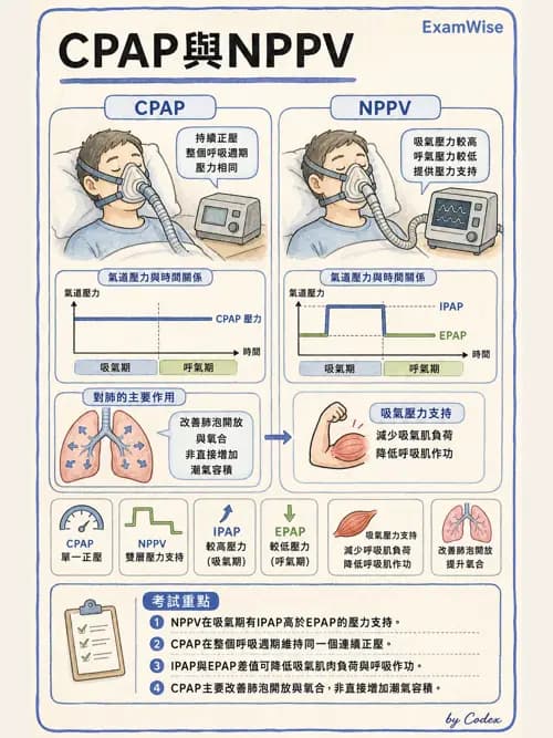 呼吸治療師 - 非侵襲性與居家通氣 - AI 圖文解析預覽