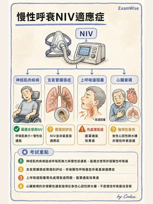 呼吸治療師 - 非侵襲性與居家通氣 - AI 圖文解析預覽