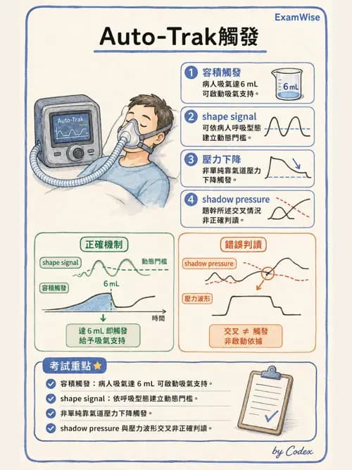 呼吸治療師 - 非侵襲性與居家通氣 - AI 圖文解析預覽