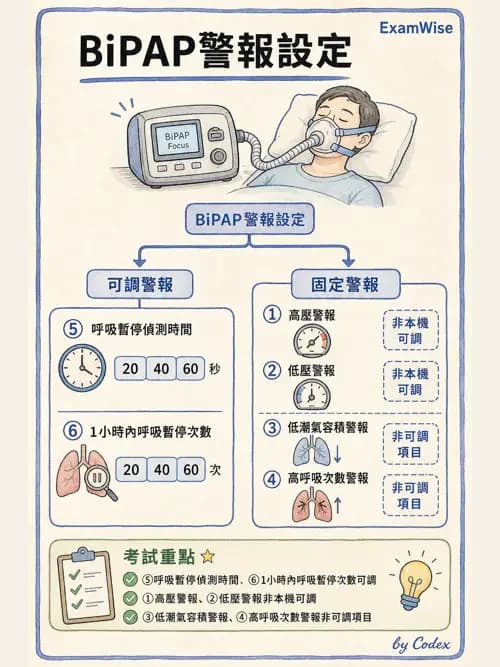 呼吸治療師 - 非侵襲性與居家通氣 - AI 圖文解析預覽
