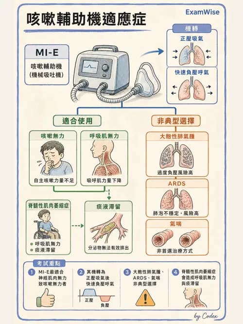 呼吸治療師 - 非侵襲性與居家通氣 - AI 圖文解析預覽