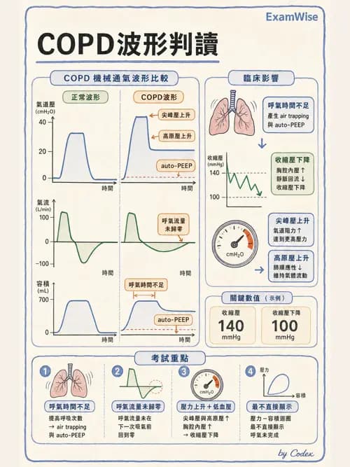 呼吸治療師 - 呼吸器圖形判讀與故障排除 - AI 圖文解析預覽