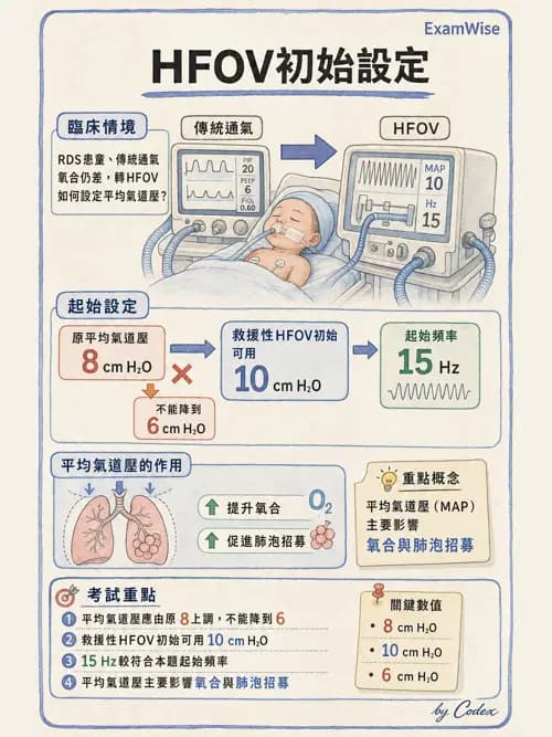 呼吸治療師 - 小兒呼吸器支持 - AI 圖文解析預覽