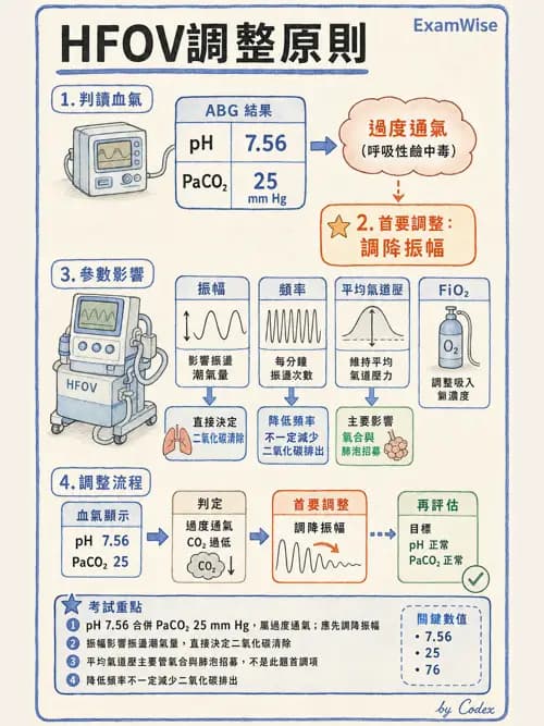 呼吸治療師 - 小兒呼吸器支持 - AI 圖文解析預覽