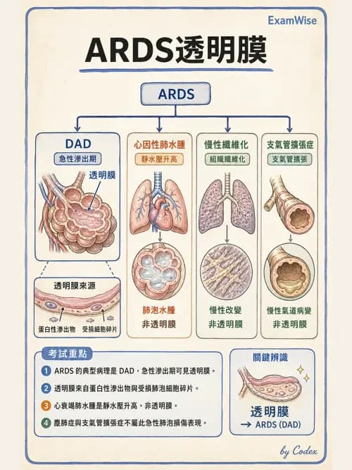 呼吸治療師 - ARDS與呼吸衰竭 - AI 圖文解析預覽