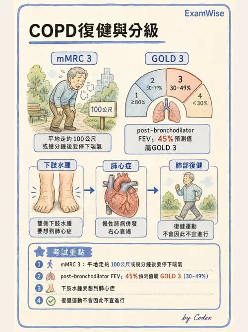 呼吸治療師 - 心臟疾病與COPD重症 - AI 圖文解析預覽