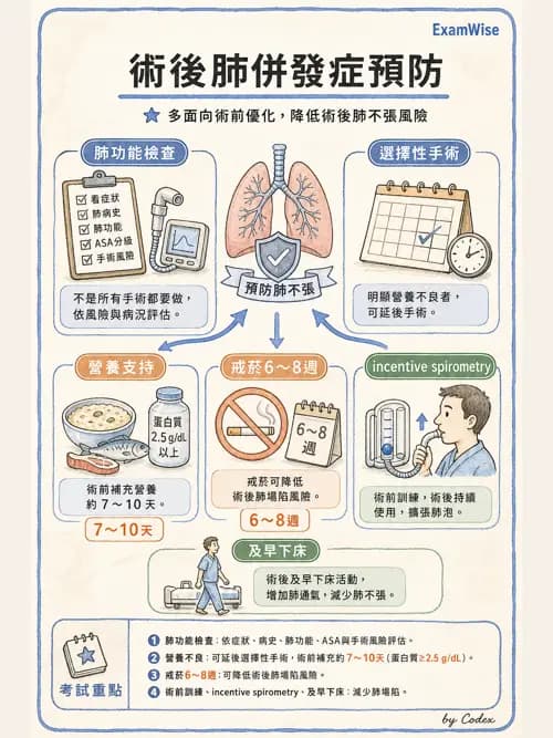 呼吸治療師 - 術後與其他呼吸重症 - AI 圖文解析預覽