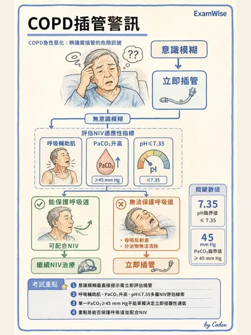 呼吸治療師 - 心臟疾病與COPD重症 - AI 圖文解析預覽