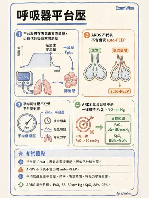 呼吸治療師 - ARDS與呼吸衰竭 - AI 圖文解析預覽