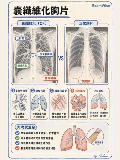呼吸治療師 - 術後與其他呼吸重症 - AI 圖文解析預覽