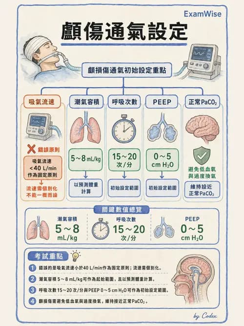 呼吸治療師 - 術後與其他呼吸重症 - AI 圖文解析預覽