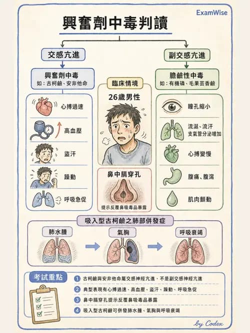 呼吸治療師 - 術後與其他呼吸重症 - AI 圖文解析預覽