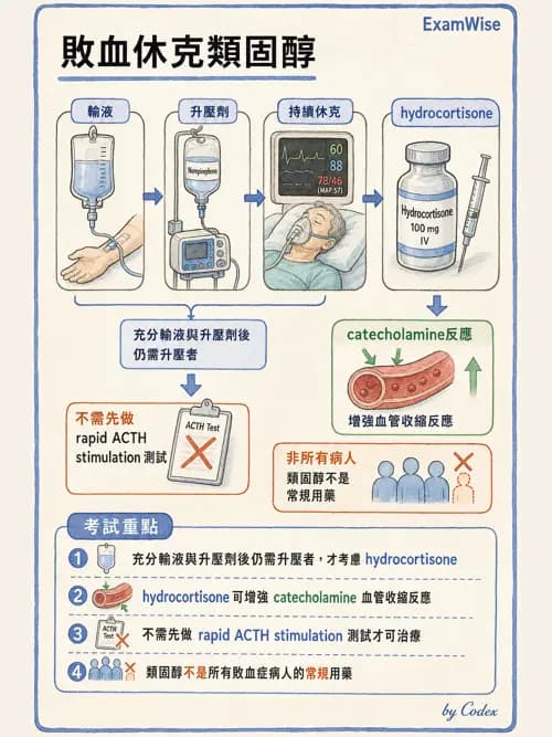 呼吸治療師 - 休克、敗血症與多器官衰竭 - AI 圖文解析預覽