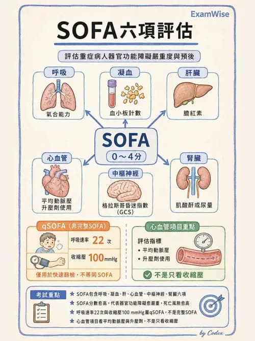呼吸治療師 - 休克、敗血症與多器官衰竭 - AI 圖文解析預覽