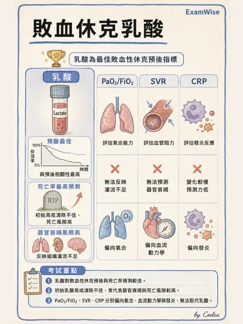 呼吸治療師 - 休克、敗血症與多器官衰竭 - AI 圖文解析預覽