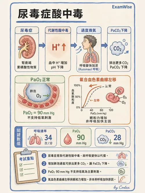 呼吸治療師 - 休克、敗血症與多器官衰竭 - AI 圖文解析預覽