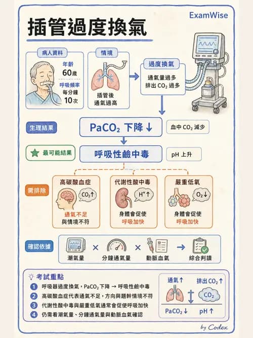 呼吸治療師 - ARDS與呼吸衰竭 - AI 圖文解析預覽