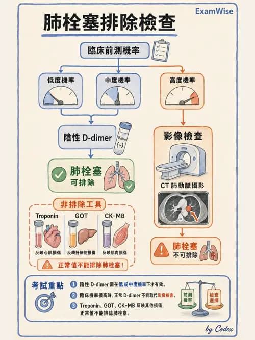 呼吸治療師 - 術後與其他呼吸重症 - AI 圖文解析預覽