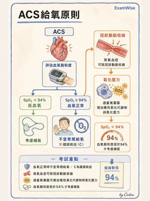 呼吸治療師 - 心臟疾病與COPD重症 - AI 圖文解析預覽