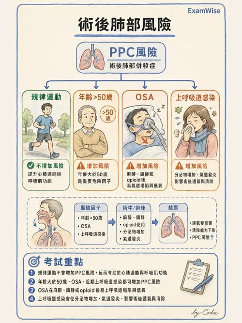 呼吸治療師 - 術後與其他呼吸重症 - AI 圖文解析預覽