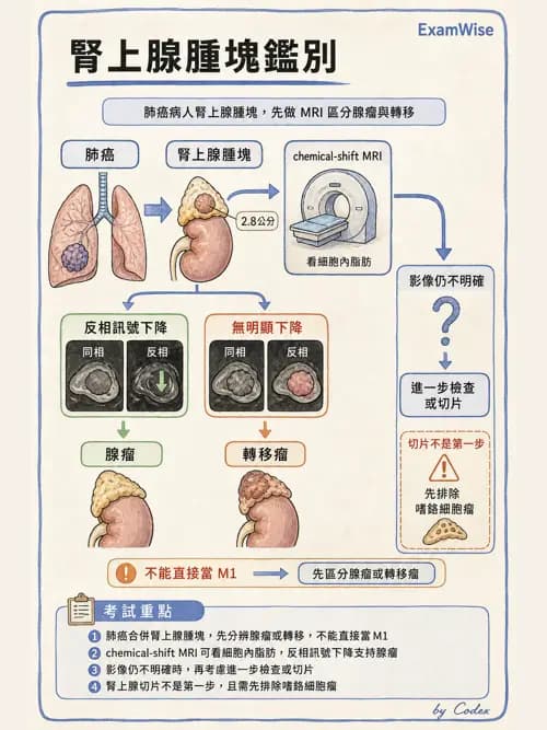 呼吸治療師 - 術後與其他呼吸重症 - AI 圖文解析預覽