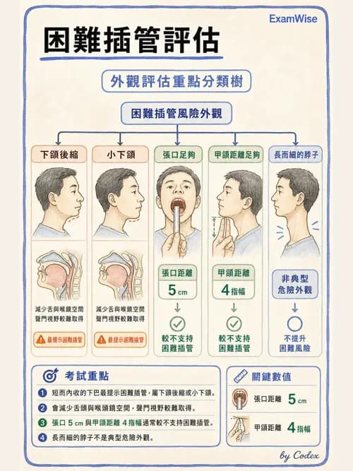 呼吸治療師 - 術後與其他呼吸重症 - AI 圖文解析預覽