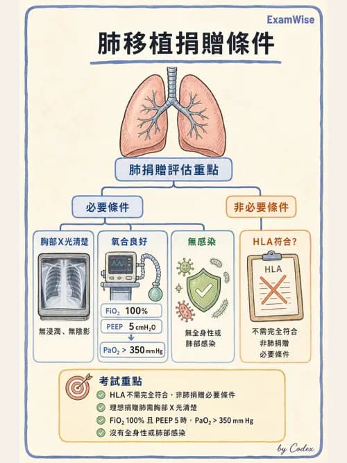 呼吸治療師 - 術後與其他呼吸重症 - AI 圖文解析預覽