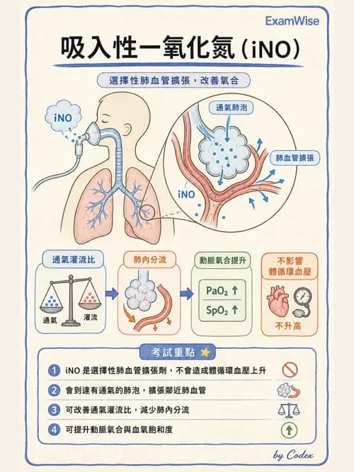 呼吸治療師 - 重症特殊處置 - AI 圖文解析預覽