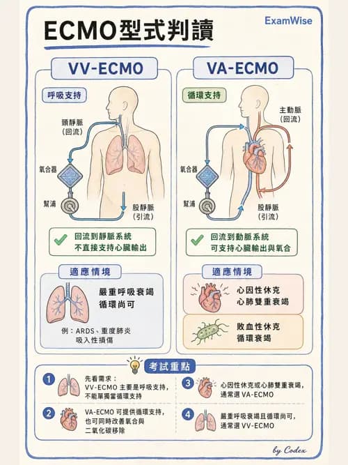 呼吸治療師 - 重症特殊處置 - AI 圖文解析預覽