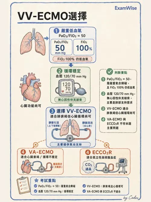 呼吸治療師 - 重症特殊處置 - AI 圖文解析預覽