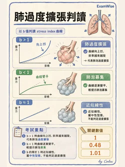 呼吸治療師 - 重症監測與判讀 - AI 圖文解析預覽
