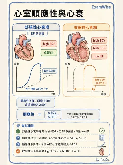 呼吸治療師 - 重症監測與判讀 - AI 圖文解析預覽