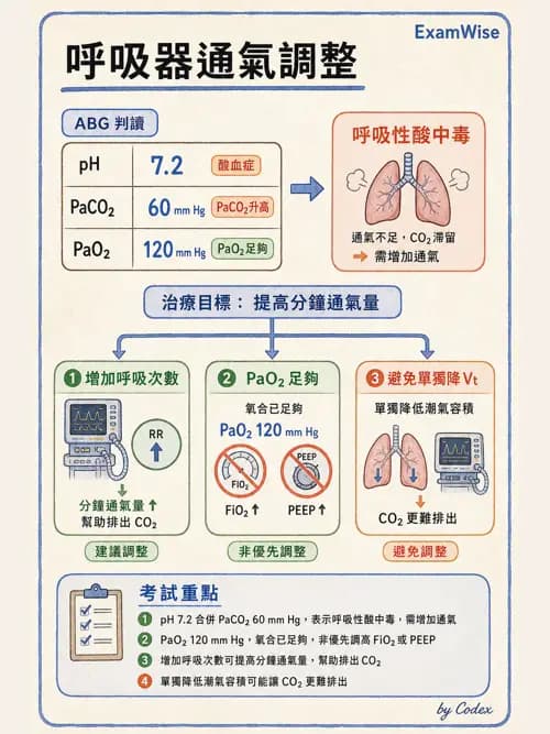 呼吸治療師 - 重症監測與判讀 - AI 圖文解析預覽