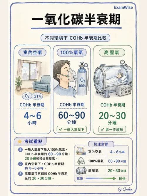 呼吸治療師 - 術後與其他呼吸重症 - AI 圖文解析預覽