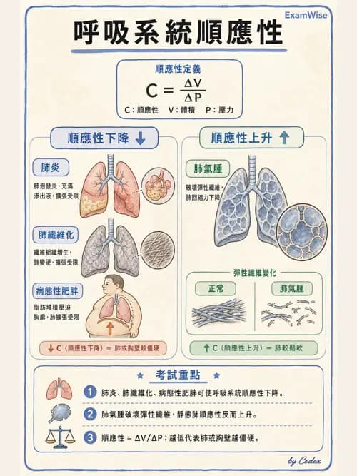 呼吸治療師 - 重症監測與判讀 - AI 圖文解析預覽