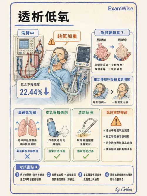 呼吸治療師 - 呼吸器併發症與感染 - AI 圖文解析預覽