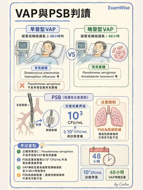 呼吸治療師 - 呼吸器併發症與感染 - AI 圖文解析預覽