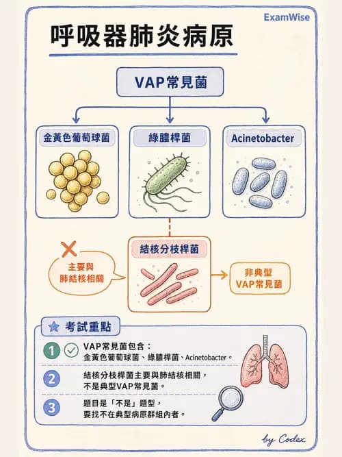 呼吸治療師 - 呼吸器併發症與感染 - AI 圖文解析預覽