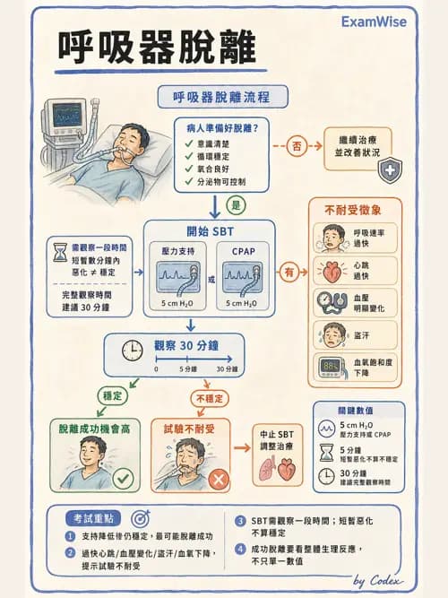 呼吸治療師 - 術後與其他呼吸重症 - AI 圖文解析預覽