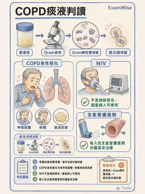 呼吸治療師 - 心臟疾病與COPD重症 - AI 圖文解析預覽