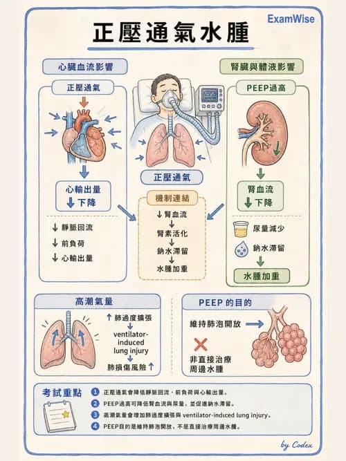 呼吸治療師 - 呼吸器併發症與感染 - AI 圖文解析預覽