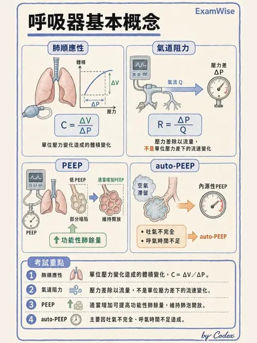 呼吸治療師 - 重症監測與判讀 - AI 圖文解析預覽