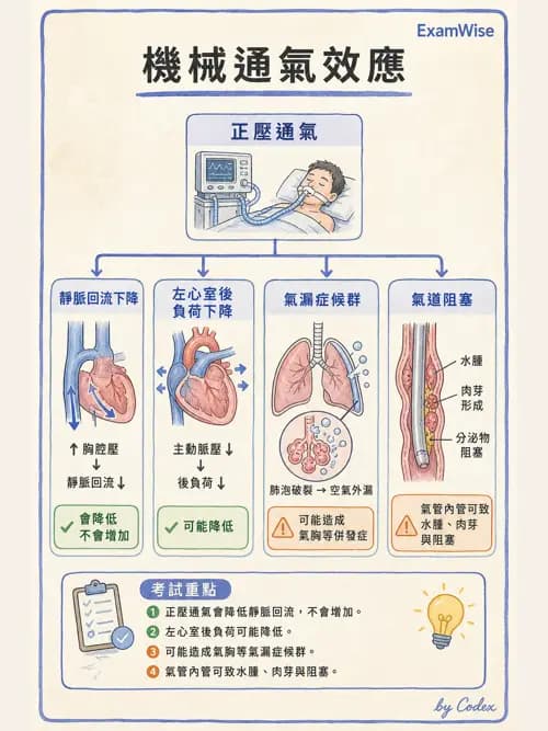 呼吸治療師 - 呼吸器併發症與感染 - AI 圖文解析預覽