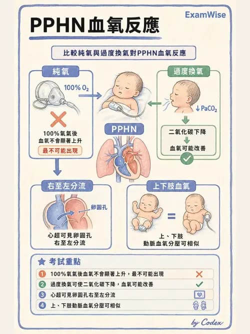 呼吸治療師 - 小兒相關重症 - AI 圖文解析預覽